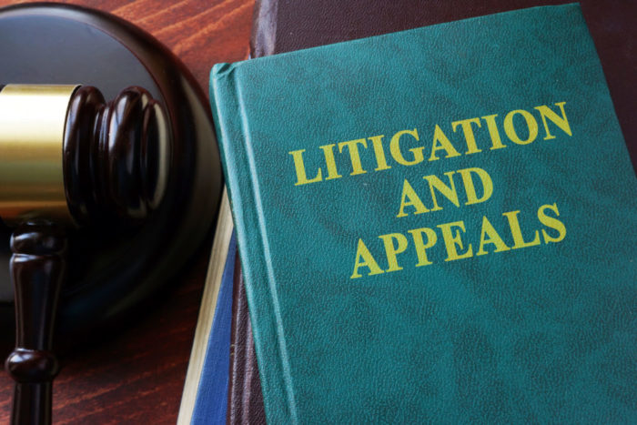 Appellate Litigation: What to Watch Out For in 2020 and Beyond