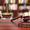 What’s New in the Trademark Law Landscape: Regulatory Trends and Challenges Explored