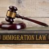 A Review of Immigration Policies: Key Facts Explored